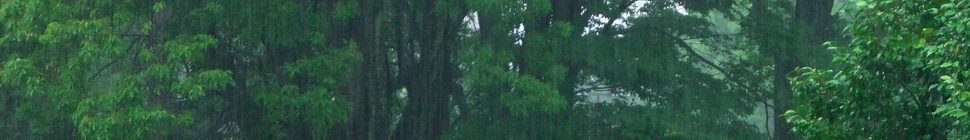 Hugh Nicoll’s Weblog header image 2